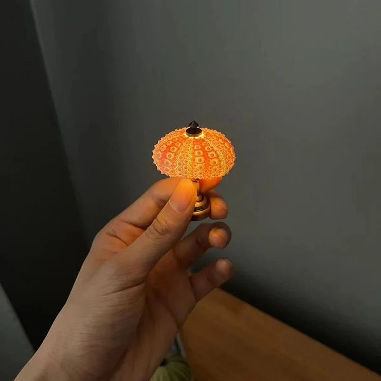DIY Seeigel Nachtlicht – Kreative und Einzigartige Beleuchtung
