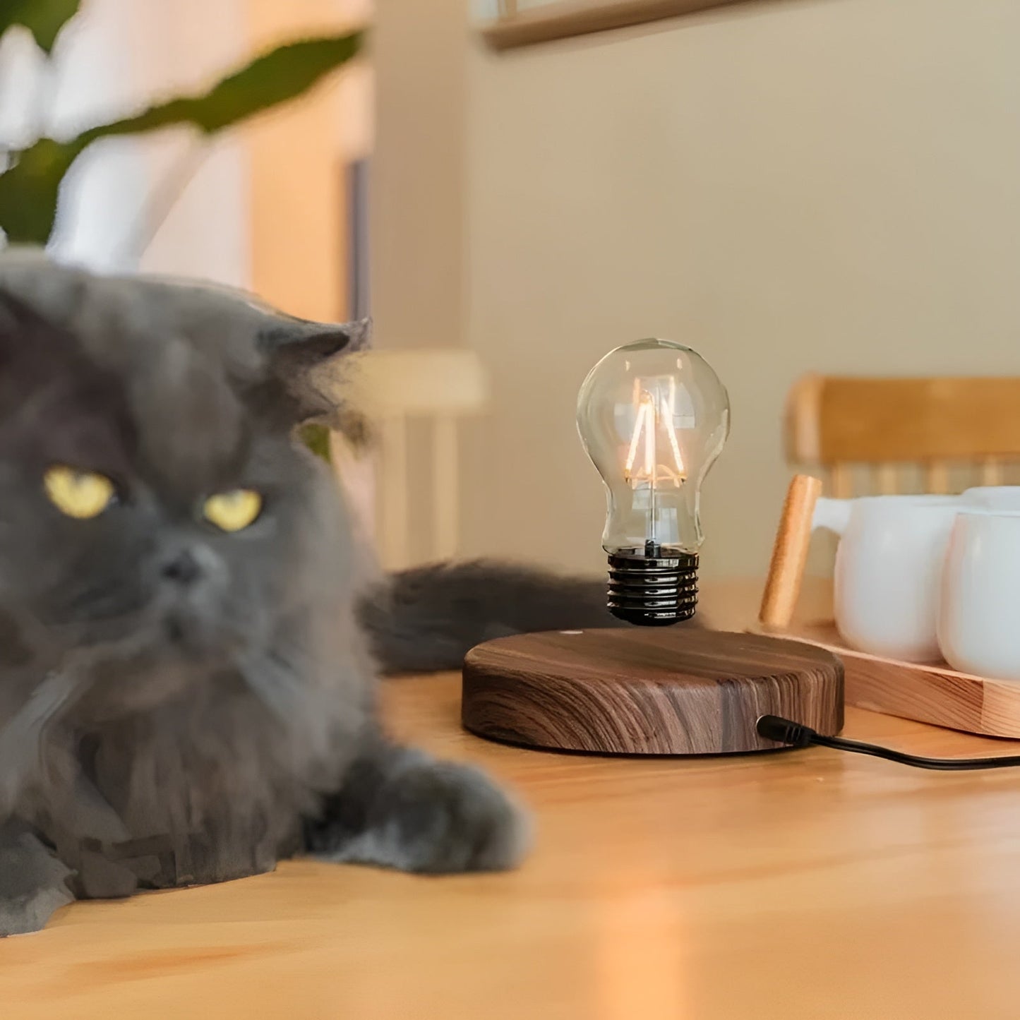 Garduru Bulb - Elegant Magnetisch Levitation Schwebende Glühbirne