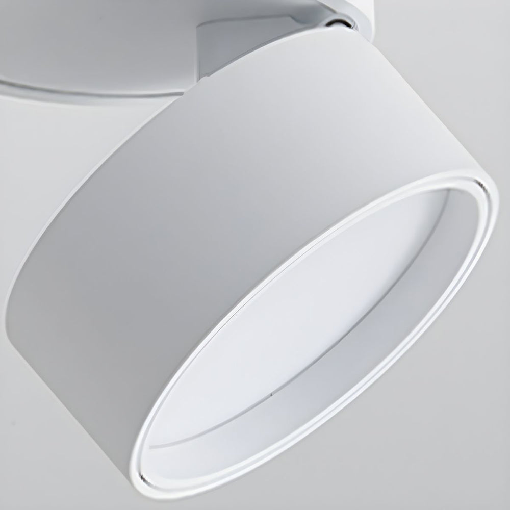 LED-Deckenleuchte mit verstellbarem Spotlichtkopf