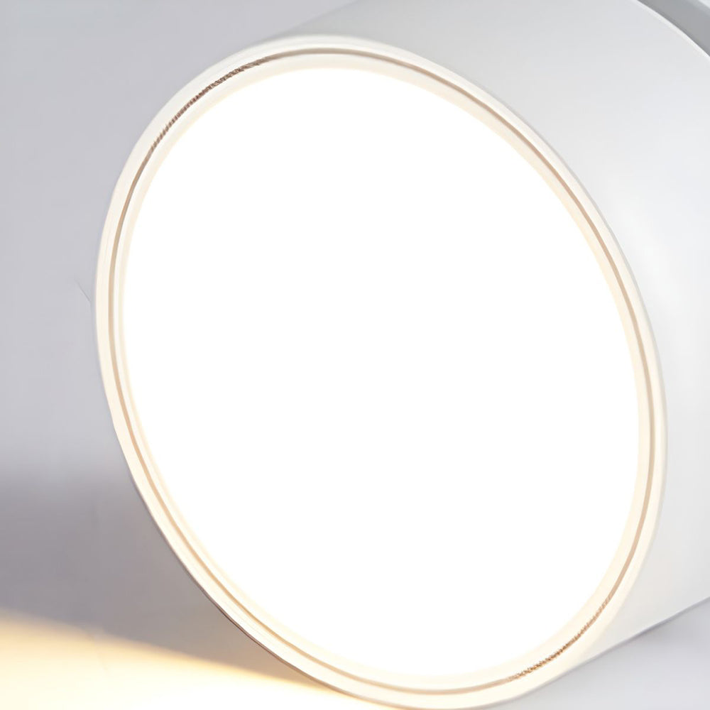 LED-Deckenleuchte mit verstellbarem Spotlichtkopf