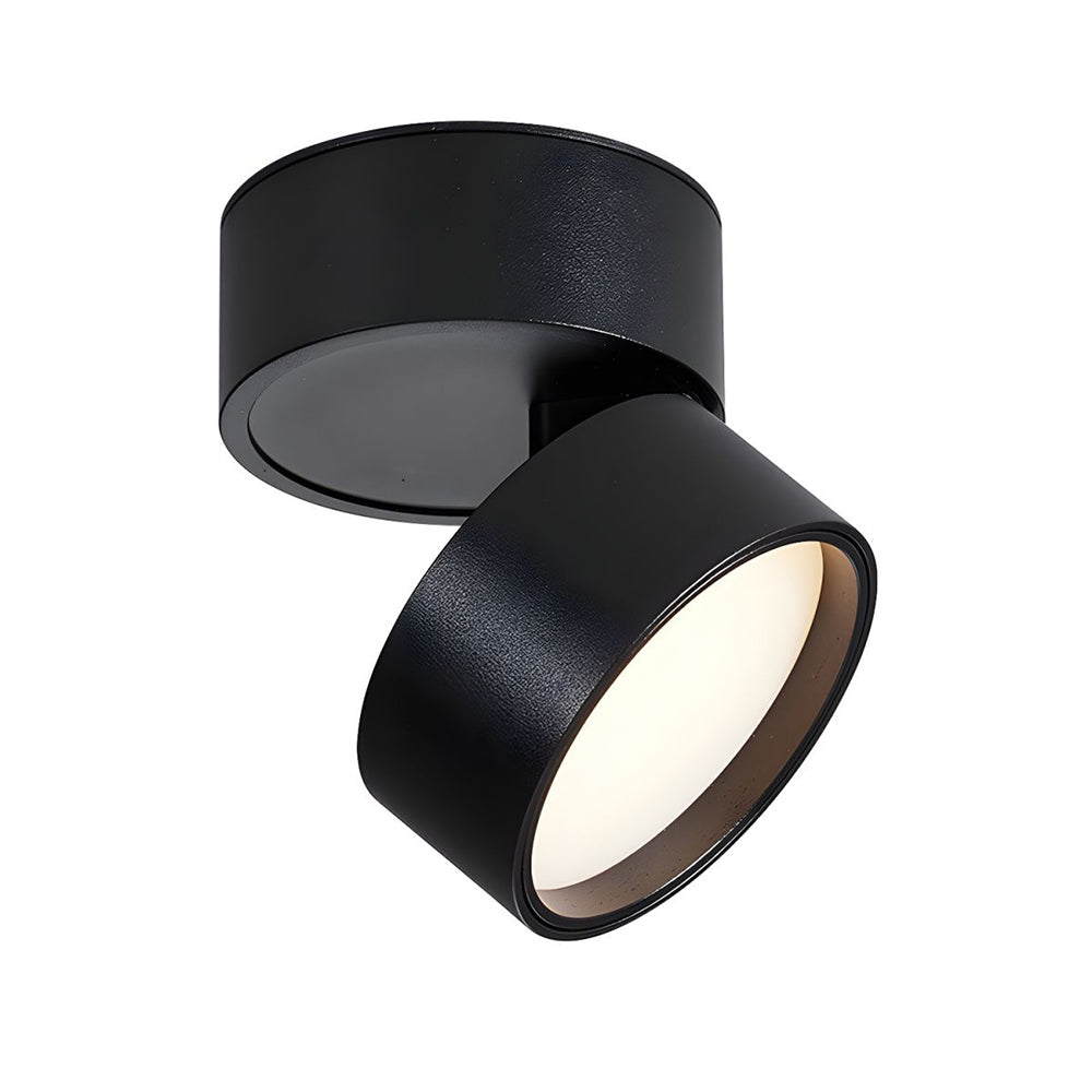 LED-Deckenleuchte mit verstellbarem Spotlichtkopf