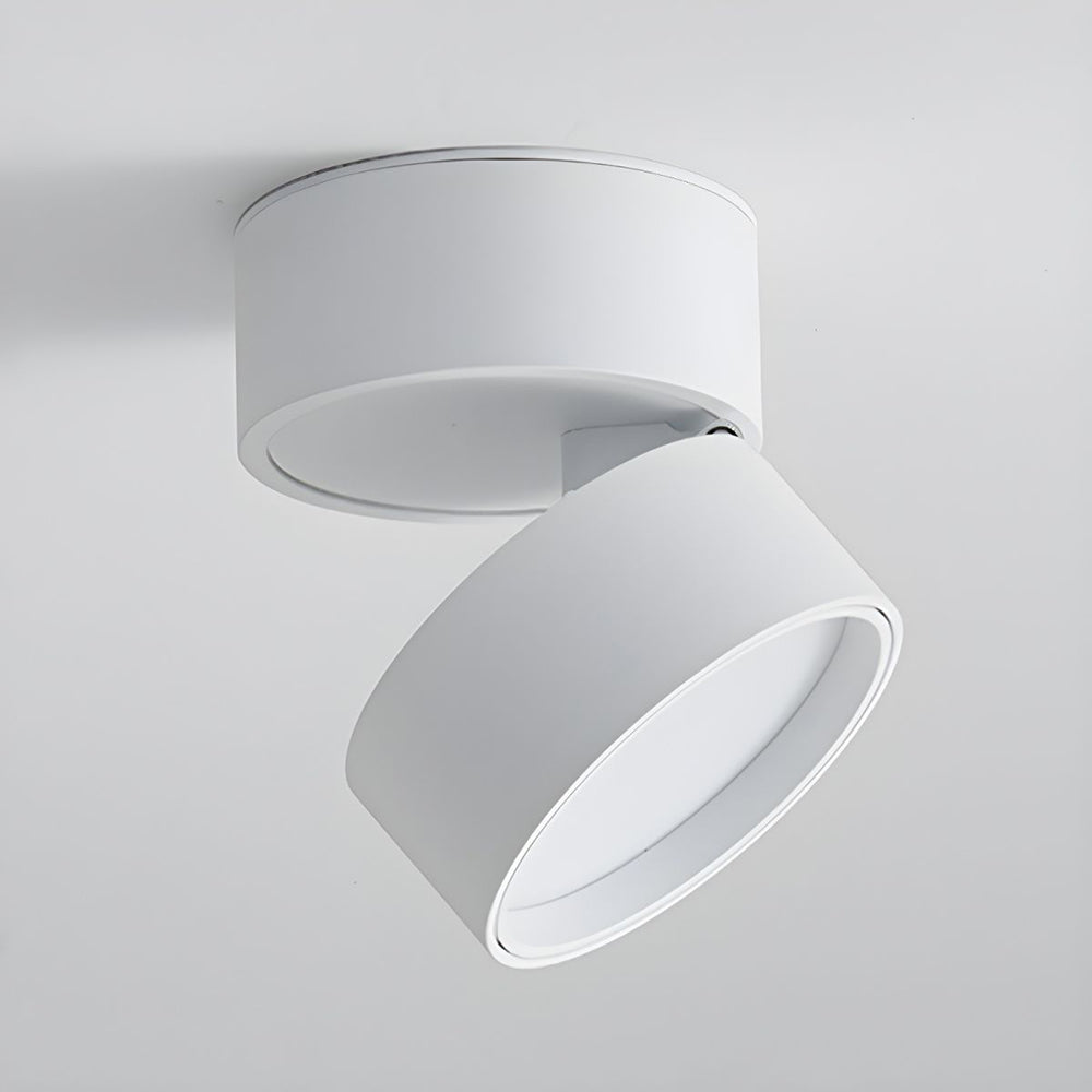LED-Deckenleuchte mit verstellbarem Spotlichtkopf