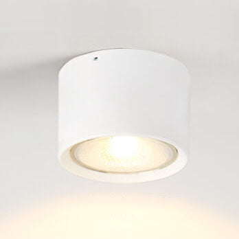 Garduru - Nordischer Zylinderschwenkspot LED Deckenlampe für flache Montage
