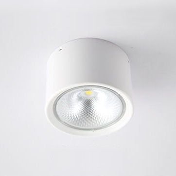 Garduru - Nordischer Zylinderschwenkspot LED Deckenlampe für flache Montage