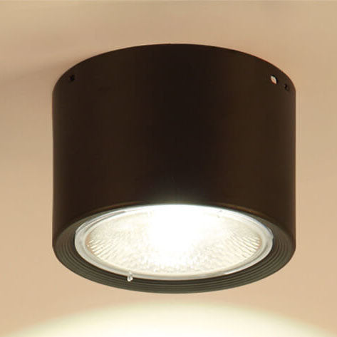 Garduru - Nordischer Zylinderschwenkspot LED Deckenlampe für flache Montage