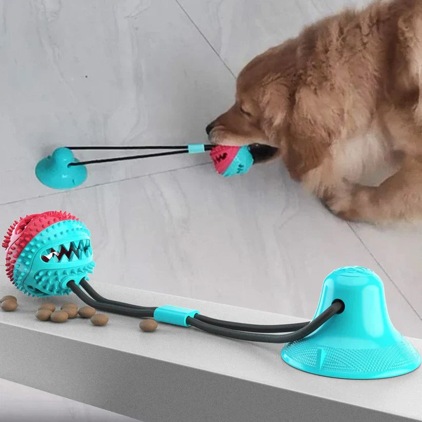 Pawelux Interaktive Saugnapf Hundespielzeug - Haltbares, ungiftiges Kauspielzeug für Hunde & Katzen, fördert gesundes Spielen und Mundgesundheit