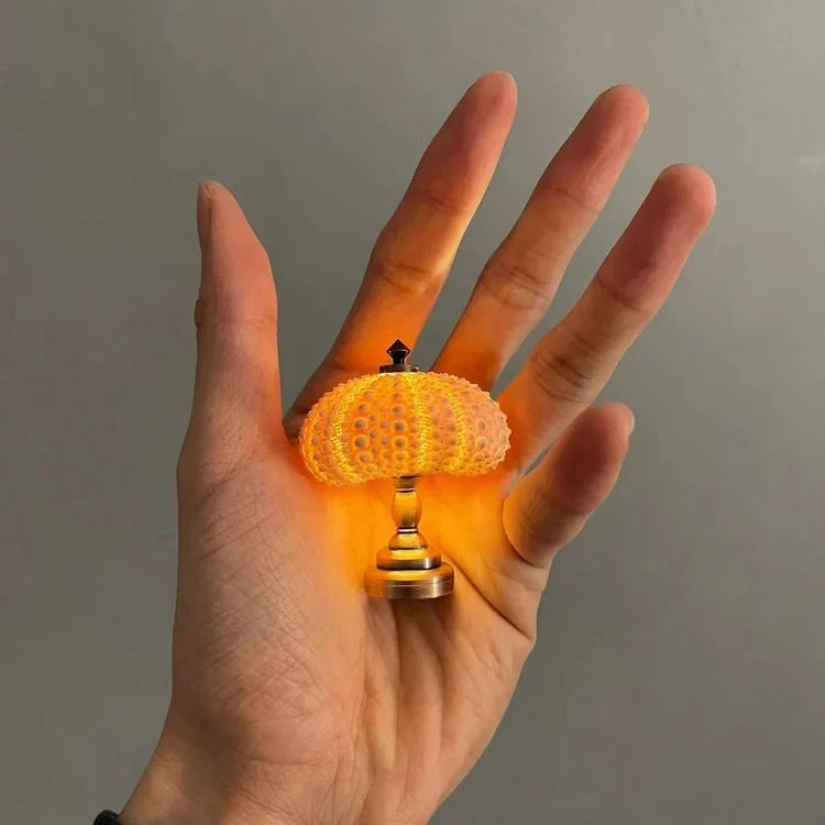 DIY Seeigel Nachtlicht – Kreative und Einzigartige Beleuchtung