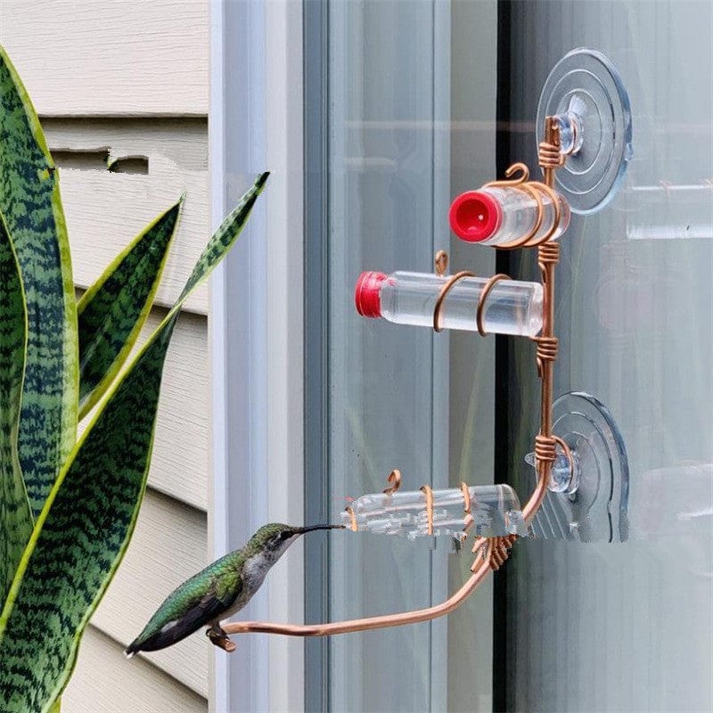 Fenster Kolibri-Futterspender
