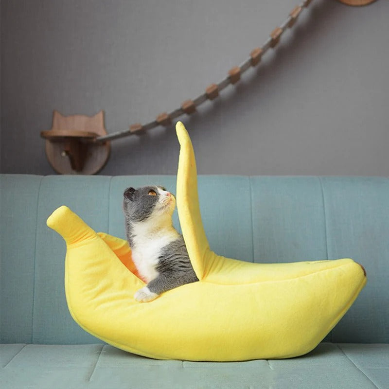 Garduru - Bananen-Katzenbett