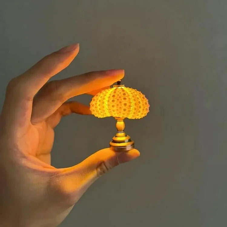 DIY Seeigel Nachtlicht – Kreative und Einzigartige Beleuchtung