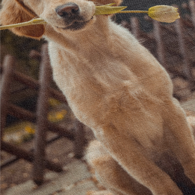 Benutzerdefinierte Hund Gewebte Decke