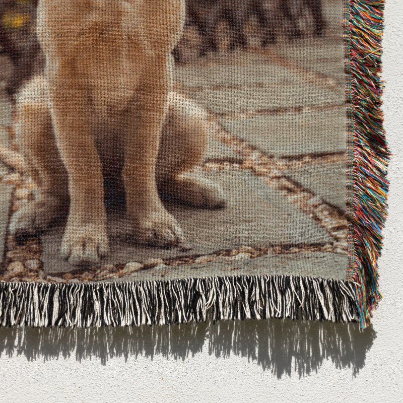 Benutzerdefinierte Hund Gewebte Decke
