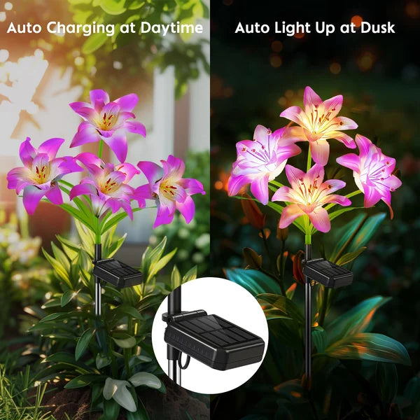 🔥HEISSER VERKAUF 50% RABATT🔥🎄Solarbetriebene blühende Lilienblumen Lichter🎄