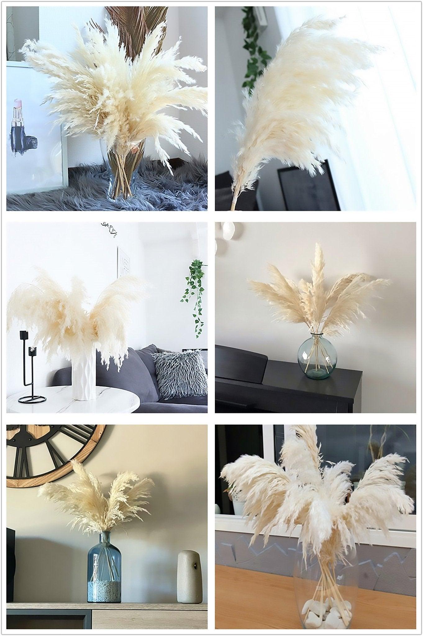 60 cm großer Strauß aus echtem, cremeweißem getrocknetem Pampasgras │ flauschige Federn für moderne Boho-Dekoration