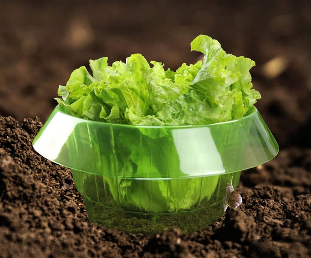 Garduru Schutz gegen Schnecken für Ihre Salat- und Kohlpflanzen