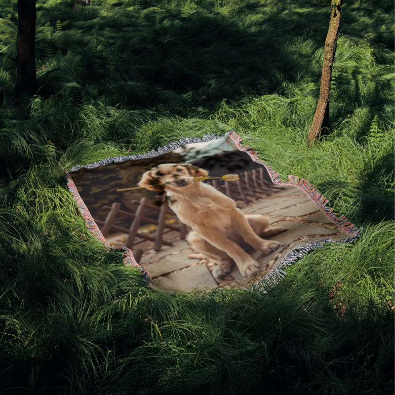 Benutzerdefinierte Hund Gewebte Decke