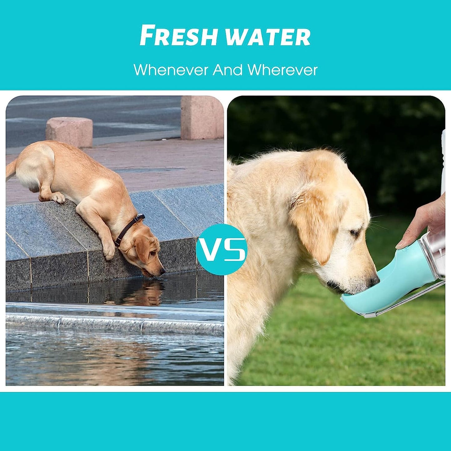 Hundewasserflasche, auslaufsicher tragbarer Welpen-Wasserspender mit Trinkfütterer