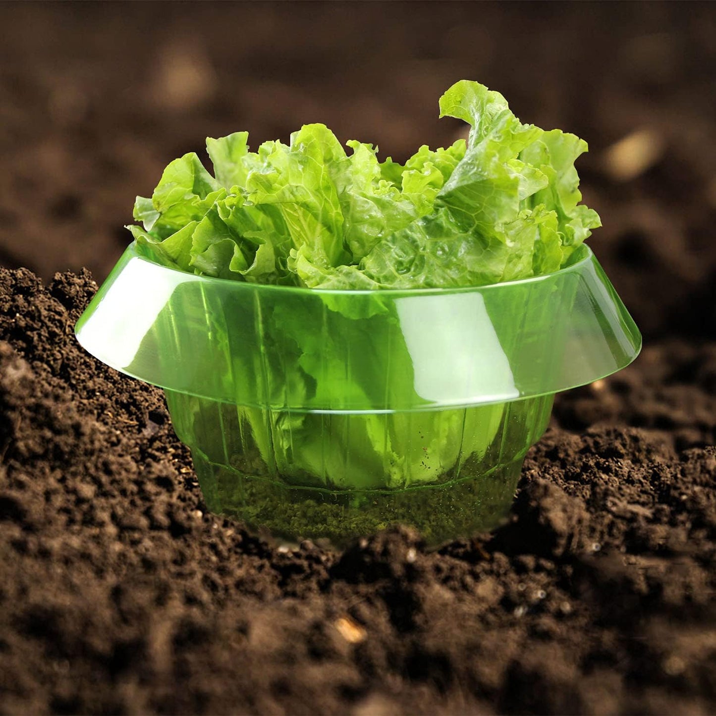 Garduru Schutz gegen Schnecken für Ihre Salat- und Kohlpflanzen