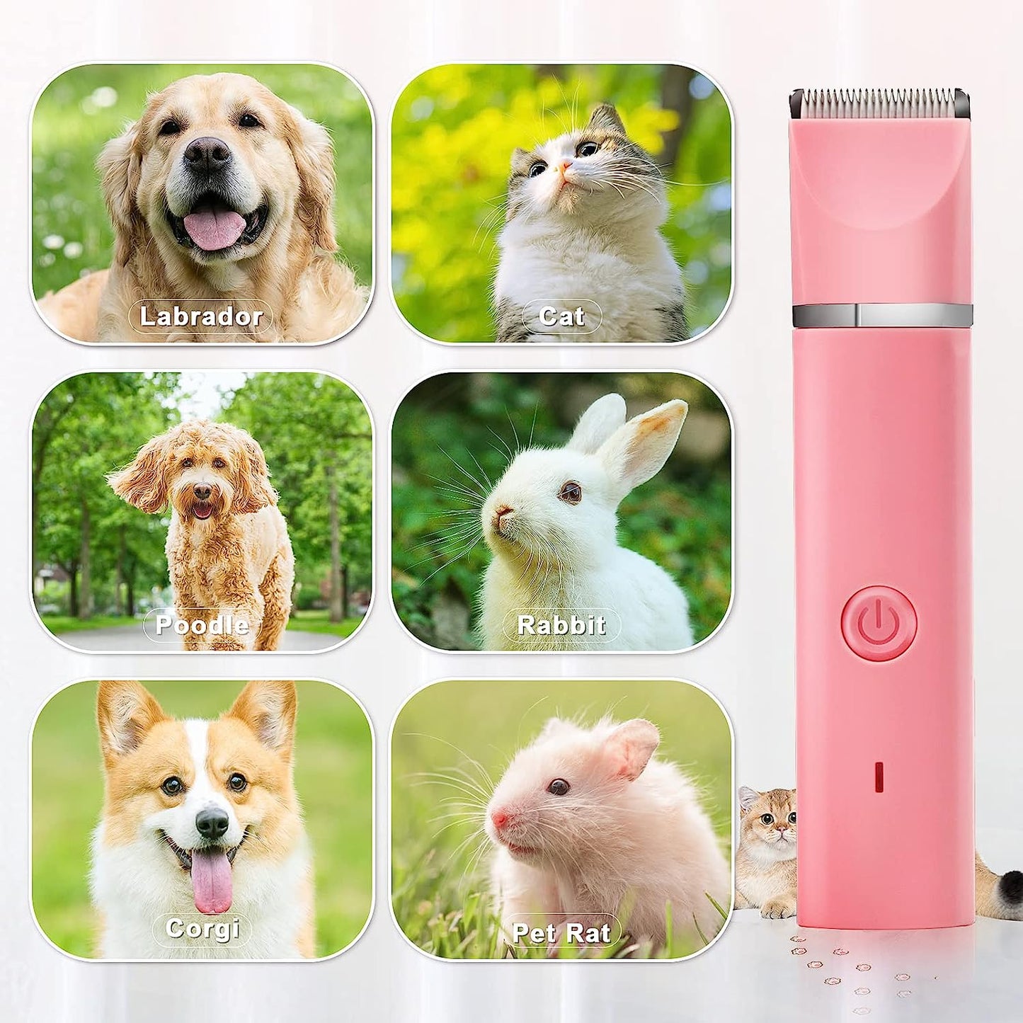 Hundefriseur Clippers Set Hund Haarschneider - Niedriges Geräusch Haustier Clippers