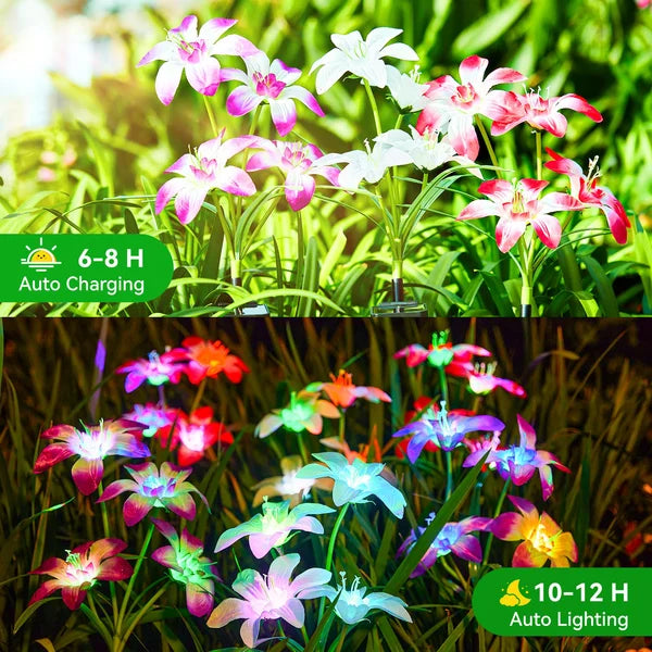 🔥HEISSER VERKAUF 50% RABATT🔥🎄Solarbetriebene blühende Lilienblumen Lichter🎄
