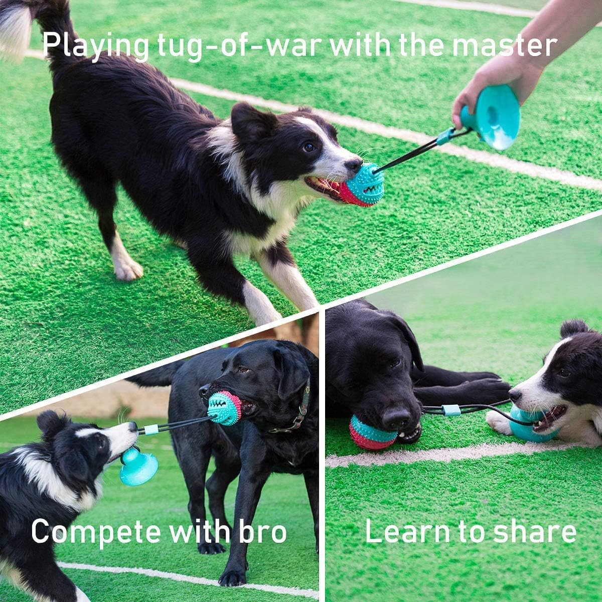 Pawelux Interaktive Saugnapf Hundespielzeug - Haltbares, ungiftiges Kauspielzeug für Hunde & Katzen, fördert gesundes Spielen und Mundgesundheit