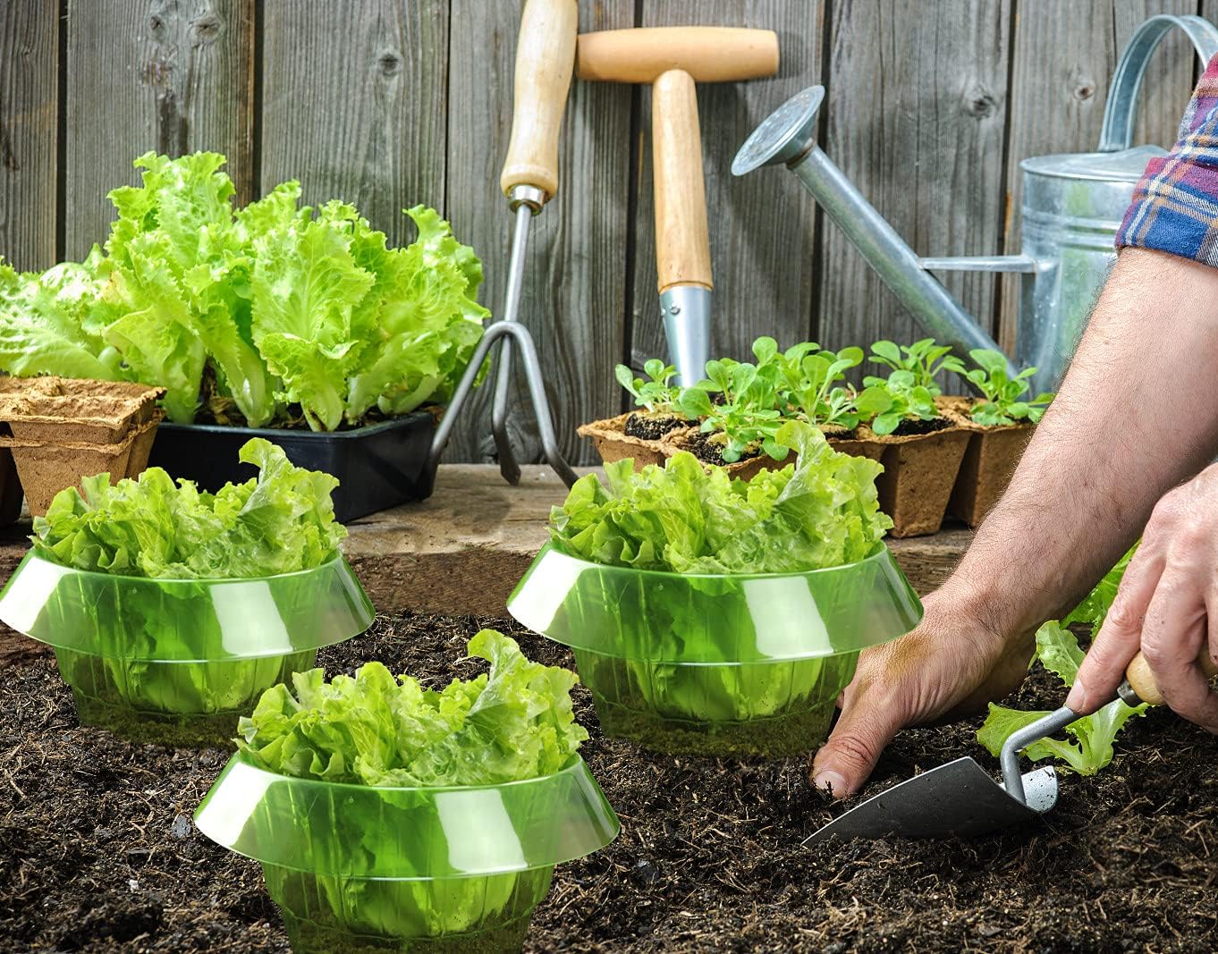 Garduru Schutz gegen Schnecken für Ihre Salat- und Kohlpflanzen