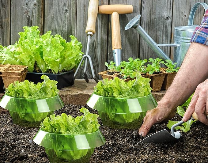Garduru Schutz gegen Schnecken für Ihre Salat- und Kohlpflanzen