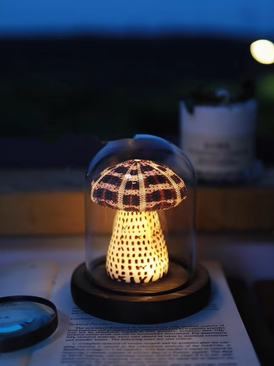 Pilz Seeigel Handgemachte Kleine Nachttischlampe