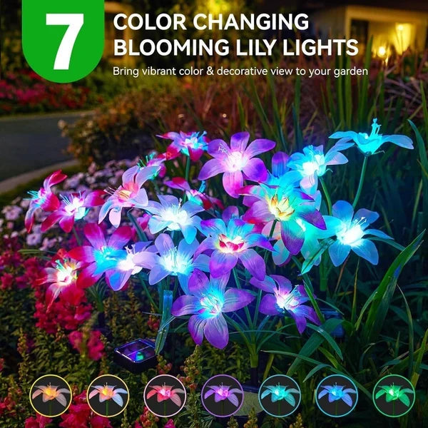 🔥HEISSER VERKAUF 50% RABATT🔥🎄Solarbetriebene blühende Lilienblumen Lichter🎄