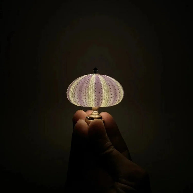 DIY Seeigel Nachtlicht – Kreative und Einzigartige Beleuchtung