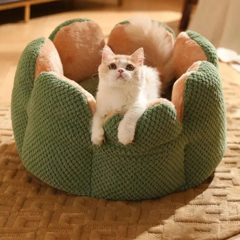 Cozypets – Kaktus-Tierkorb – Ultimativer Schlafkomfort