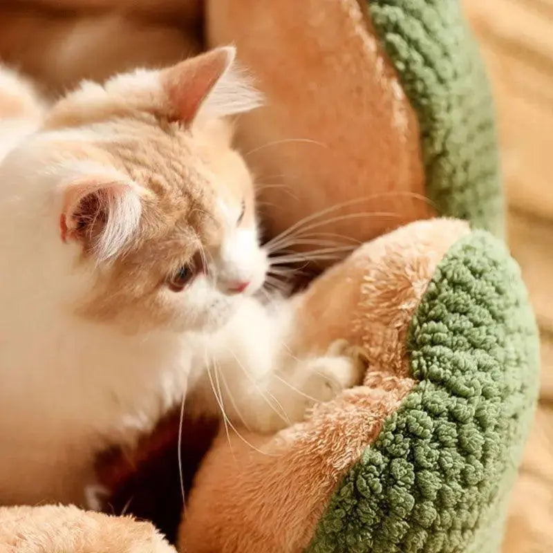 Cozypets – Kaktus-Tierkorb – Ultimativer Schlafkomfort