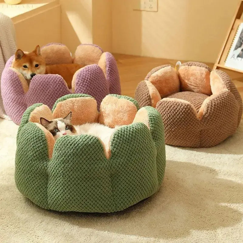 Cozypets – Kaktus-Tierkorb – Ultimativer Schlafkomfort