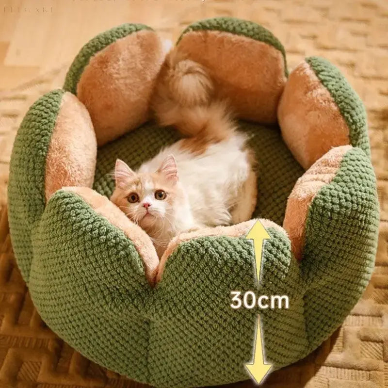 Cozypets – Kaktus-Tierkorb – Ultimativer Schlafkomfort