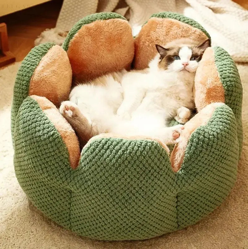 Cozypets – Kaktus-Tierkorb – Ultimativer Schlafkomfort
