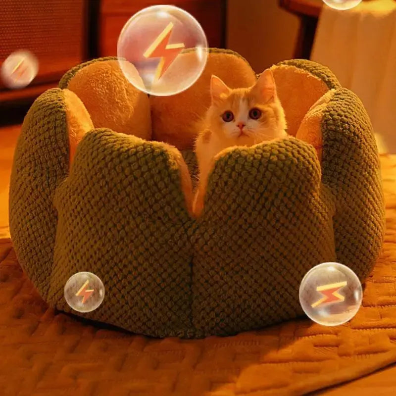 Cozypets – Kaktus-Tierkorb – Ultimativer Schlafkomfort