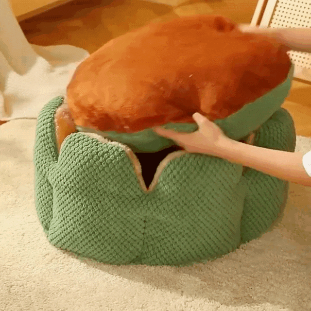 Cozypets – Kaktus-Tierkorb – Ultimativer Schlafkomfort