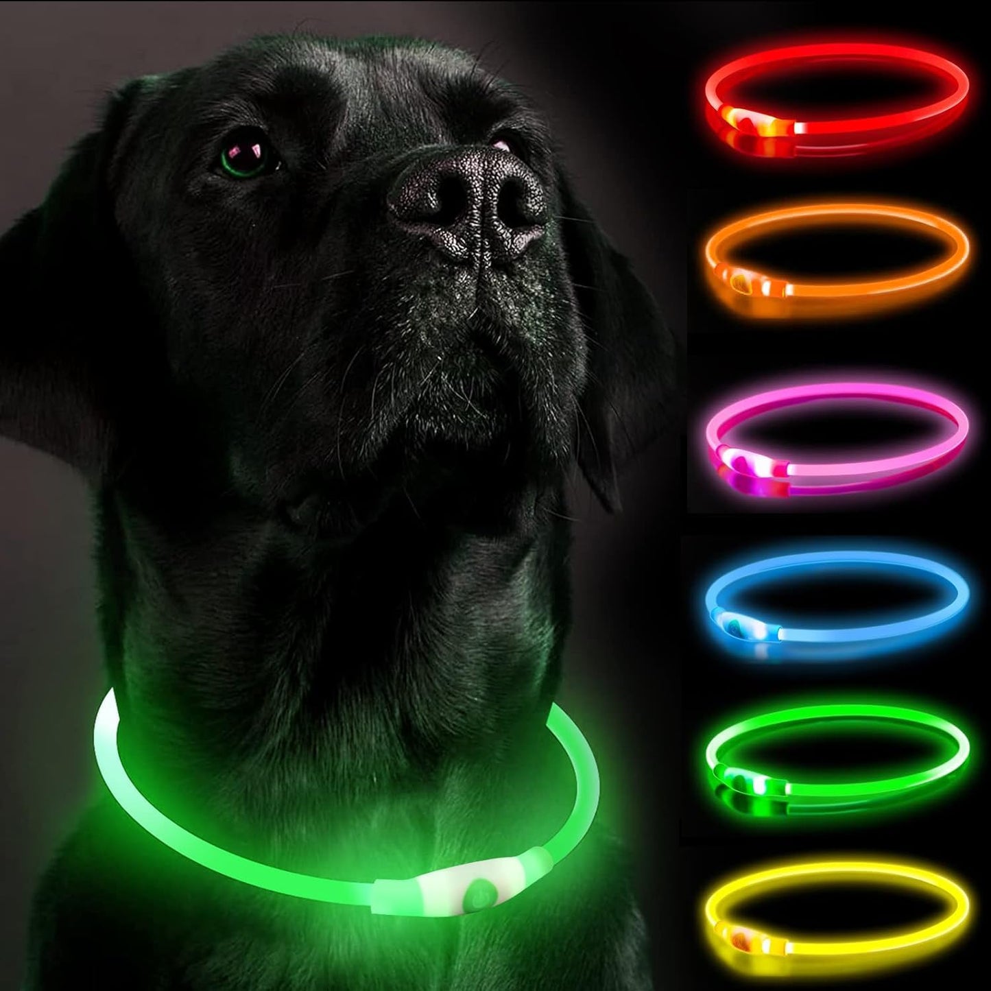 Leuchtendes LED-Halsband wiederaufladbar für Hunde | GlowPup