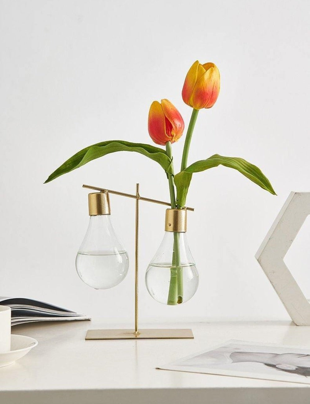 Stilvolle Vermehrungsvase für Zuhause und Büro | Elegantes Design für das Wachstum von Einzel- und Doppelpflanzen