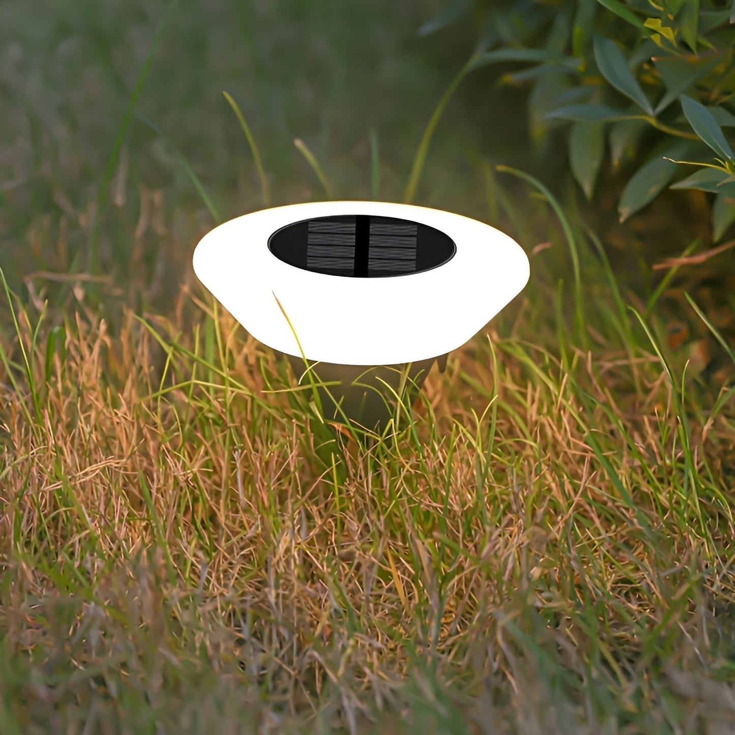 LED Solar Gartenlicht für Außenbereich Dekor, energieeffizient & stilvoll