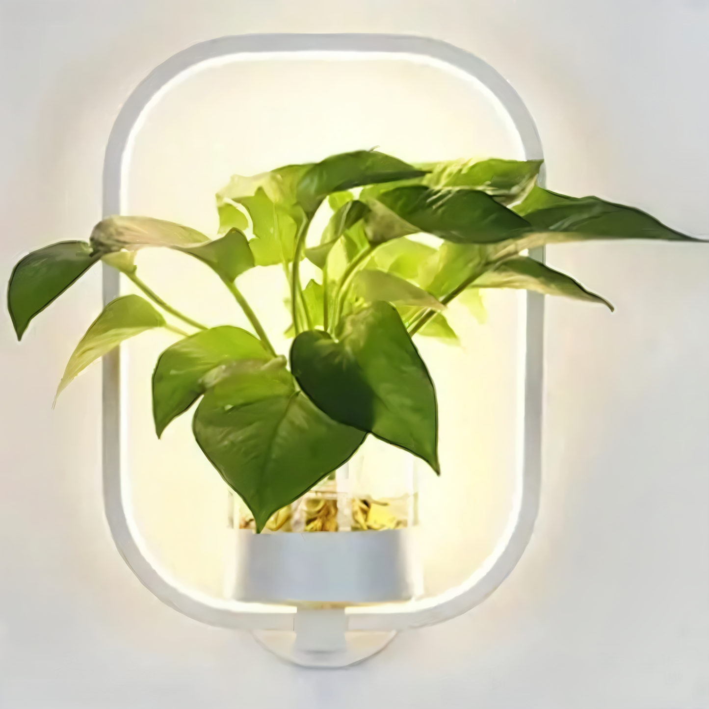 VerdantLume Wandleuchte - Minimalistische Wandleuchte mit integrierter Pflanzenhalterung - Moderne Wandleuchten LED