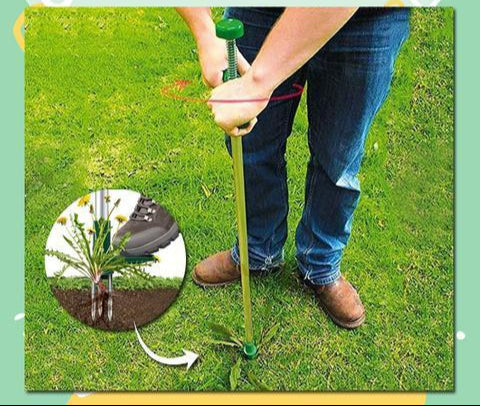 Werkzeug zur Bekämpfung von Unkraut-EasyPull