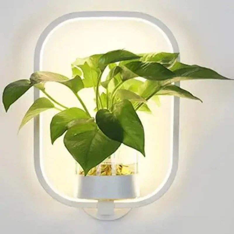 Lumora Pflanzen Wandlampe – Elegante Innenbeleuchtung mit integriertem Pflanzenhalter