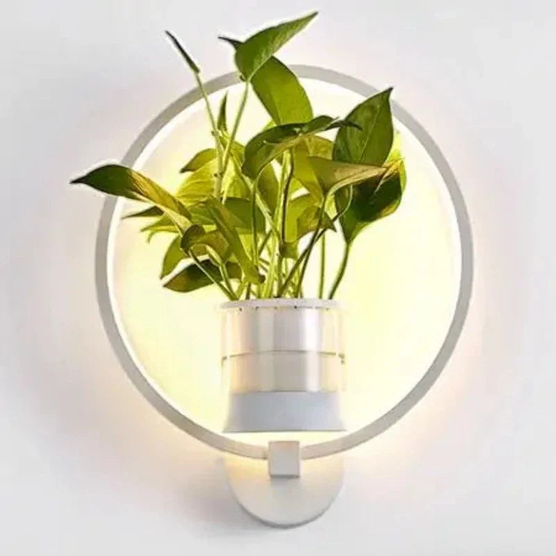 Wandleuchte mit Glas Pflanzenhalter
