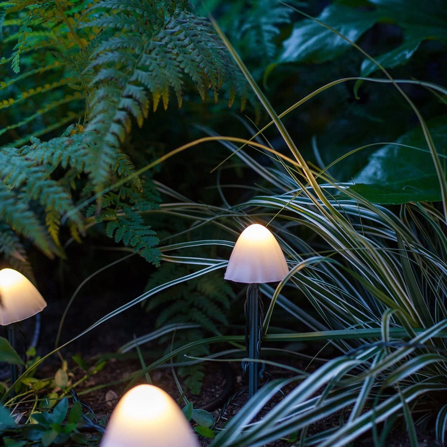 LED Solar Pilze