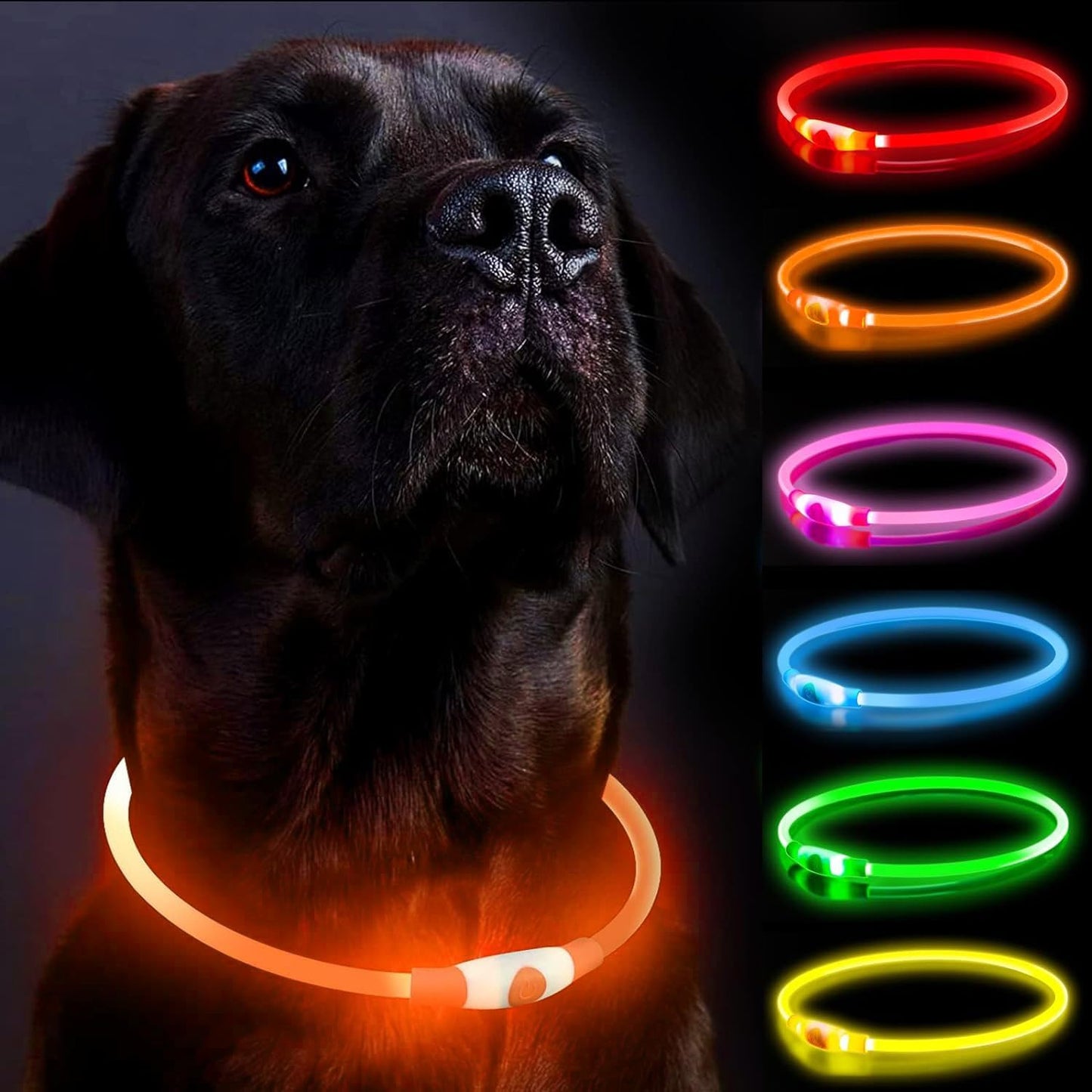 Leuchtendes LED-Halsband wiederaufladbar für Hunde | GlowPup