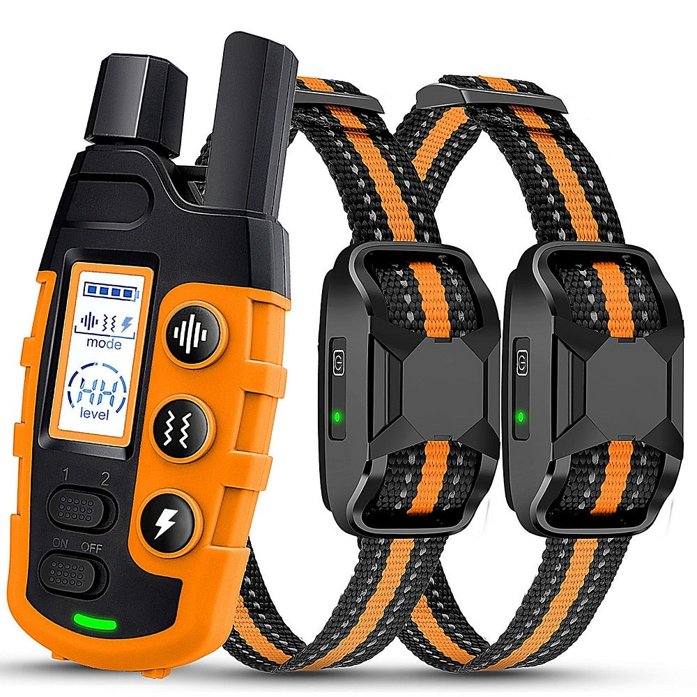 Elektronisches Halsband für Hund 1000m | Individuelles Training