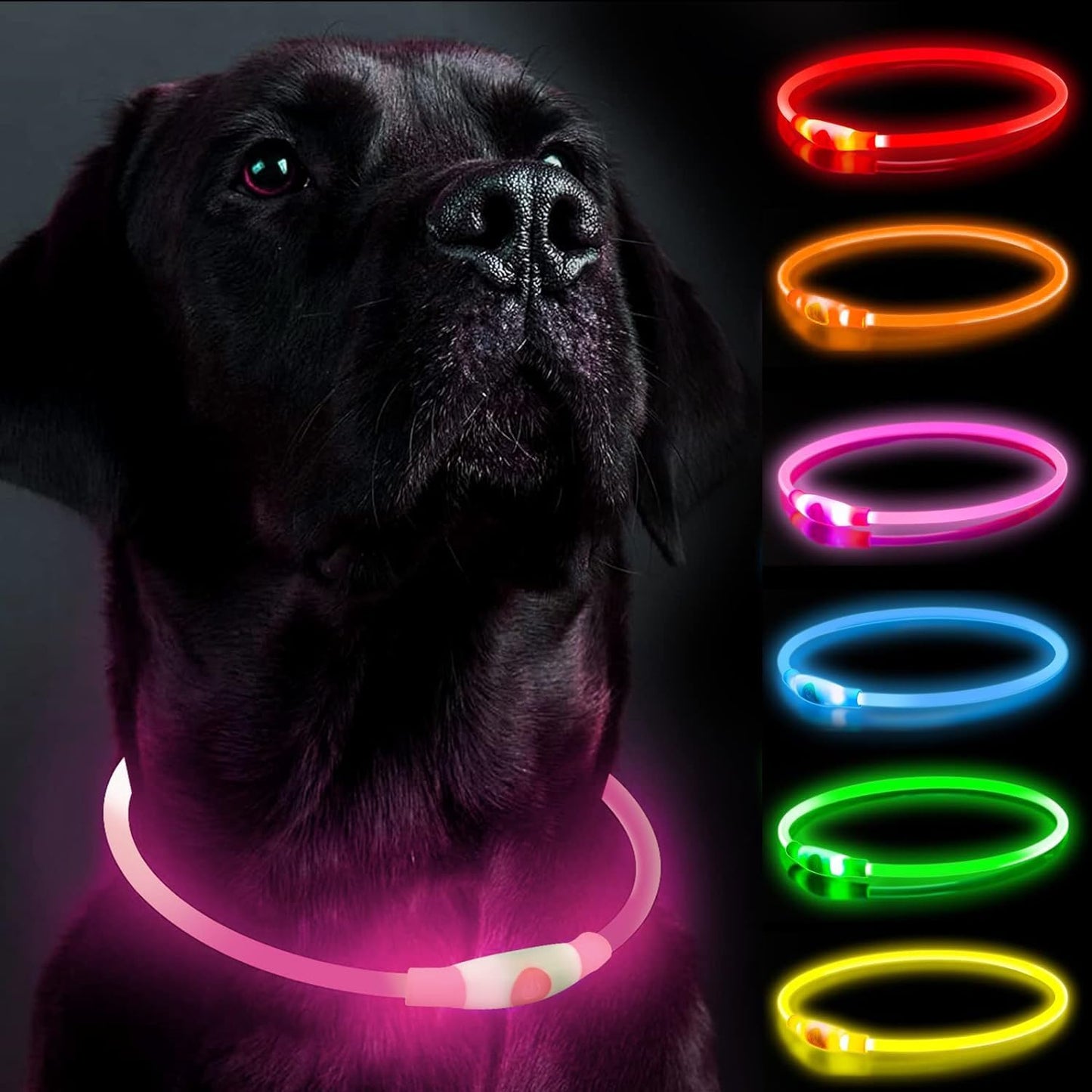 Leuchtendes LED-Halsband wiederaufladbar für Hunde | GlowPup