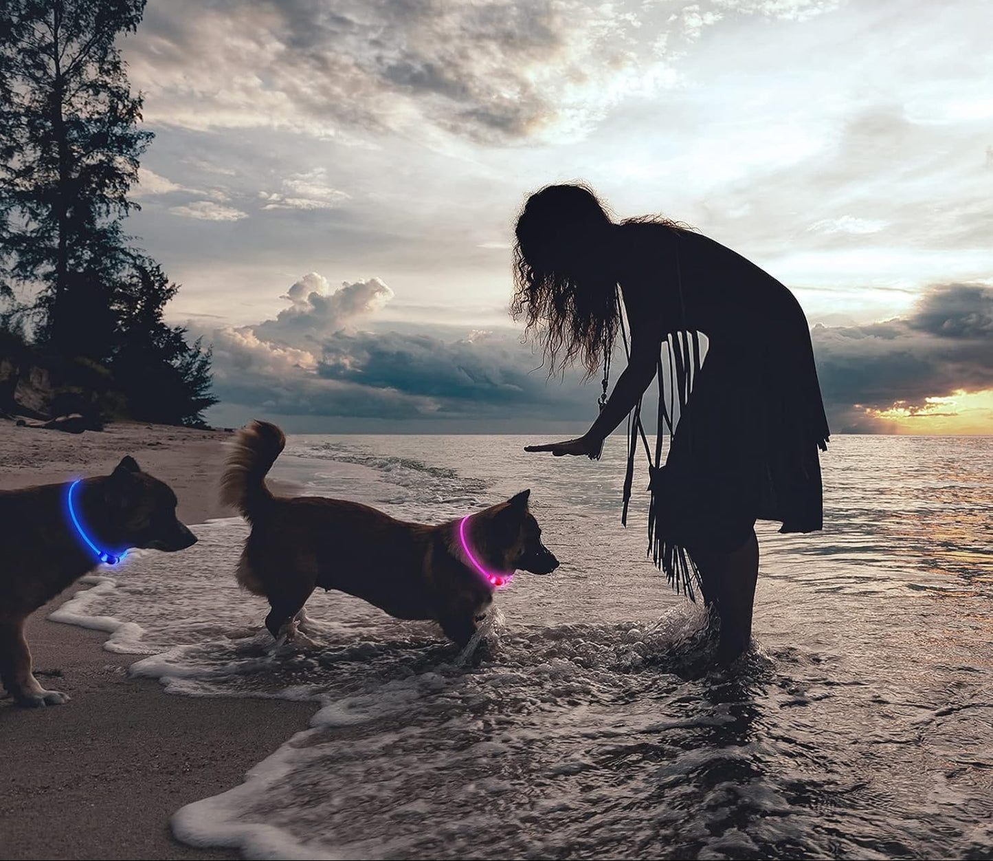 Leuchtendes LED-Halsband wiederaufladbar für Hunde | GlowPup