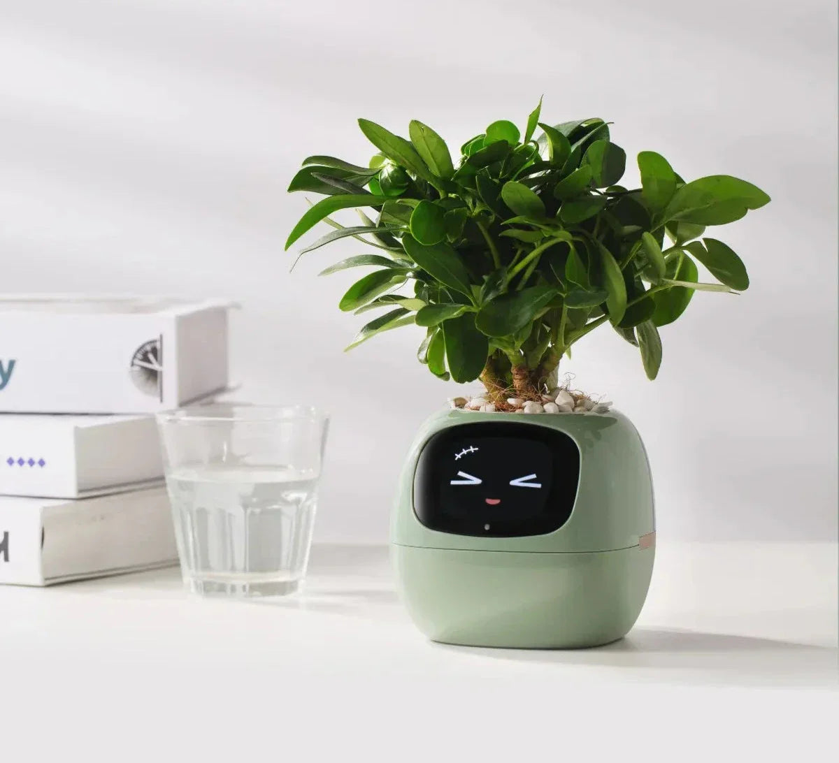 Smart Planter mit AI-Sensoren | SmartGrow